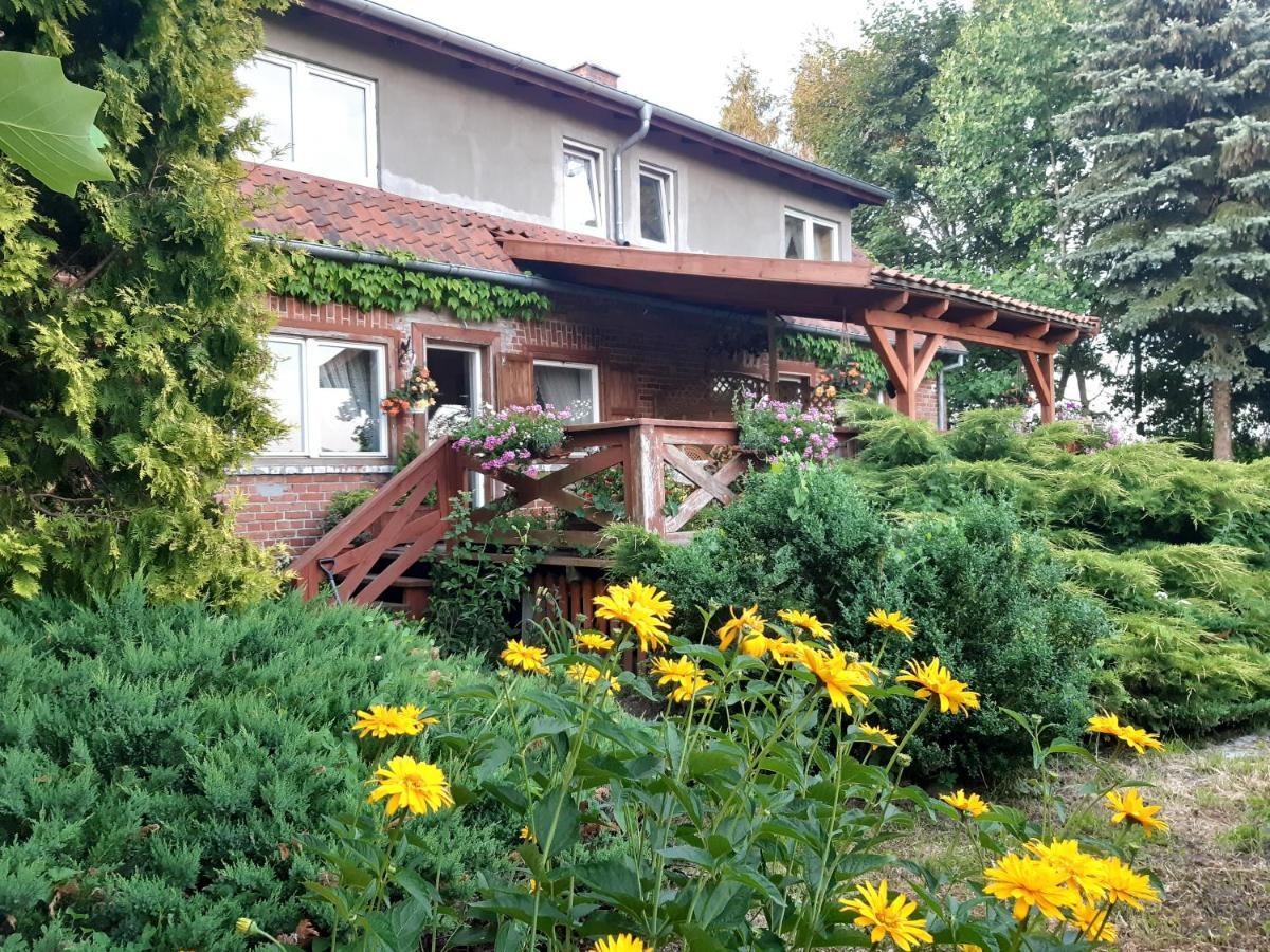 Dziki Brzeg Jezioraka Villa Zalewo  Dış mekan fotoğraf