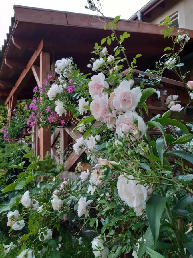 Dziki Brzeg Jezioraka Villa Zalewo  Dış mekan fotoğraf